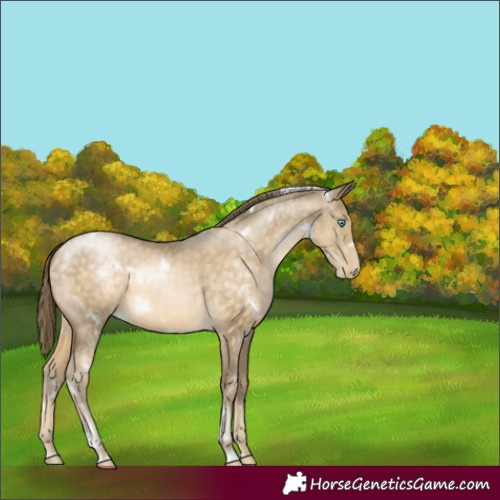 Horse Color:White Spotted Buckskin Pearl 