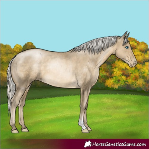Horse Color:Silver Smoky Black Pearl Rabicano 