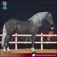 Horse Color:Silver Smoky Black Chinchilla 