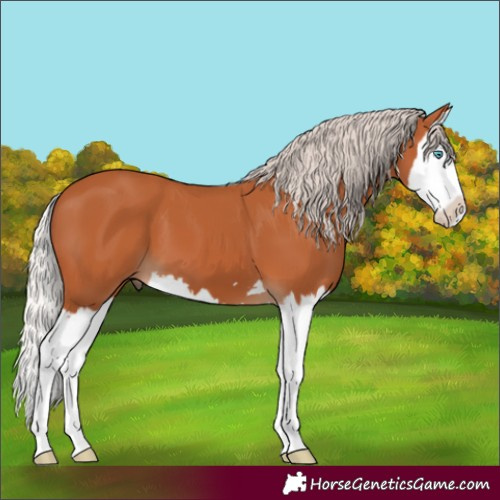 Horse Color:Chocolate Silver Bay Splash 