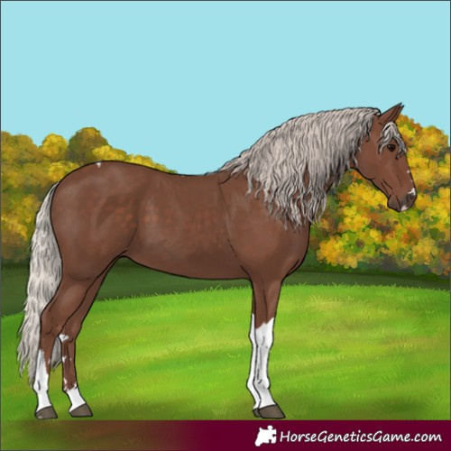 Horse Color:Silver Black Tobiano 