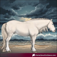 Horse Color:Perlino 