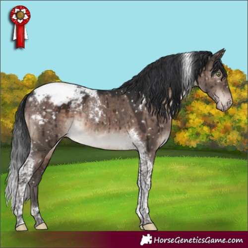 Horse Color:Brown Dun Mushroom Tobiano Appaloosa Rabicano Brindle 