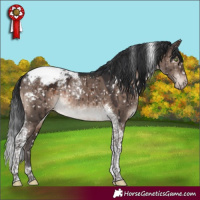Horse Color:Brown Dun Mushroom Tobiano Appaloosa Rabicano Brindle
