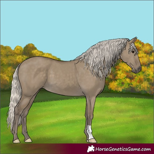 Horse Color:Silver Smoky Grullo 