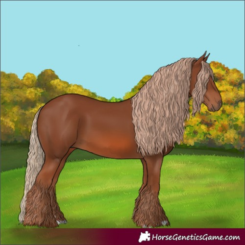 Horse Color:Chestnut 