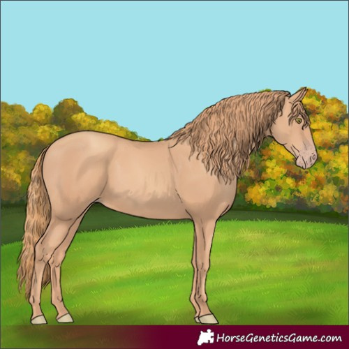 Horse Color:Gold Champagne Rabicano 