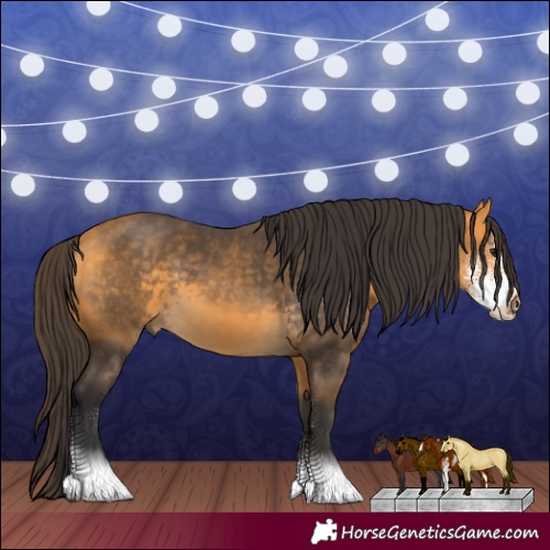 Horse Color:Buckskin Sabino 
