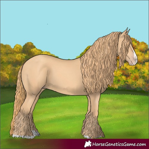 Horse Color:Gold Champagne Splash 
