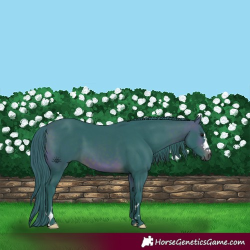 Horse Color:Watercolor Brown 