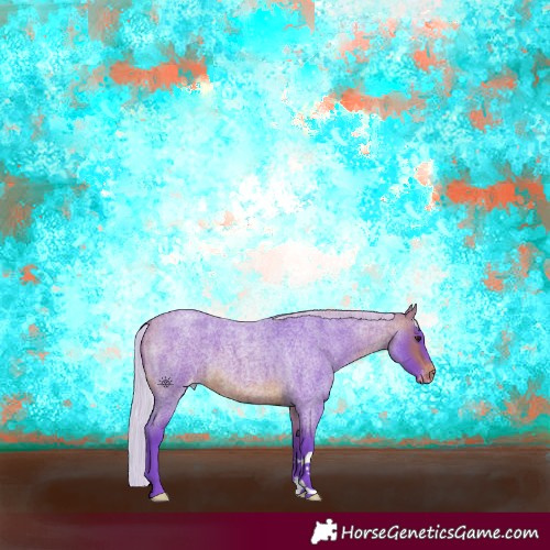Horse Color:Watercolor Silver Brown Roan Appaloosa 
