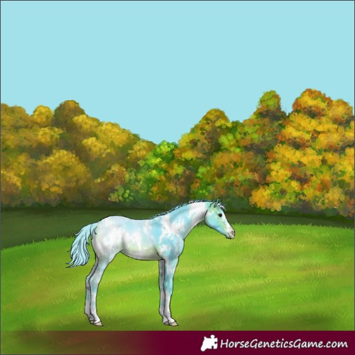 Horse Color:Watercolor White Spotted Brown 