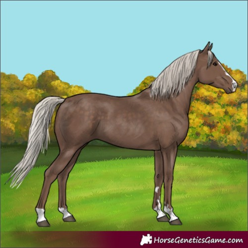 Horse Color:Silver Black 