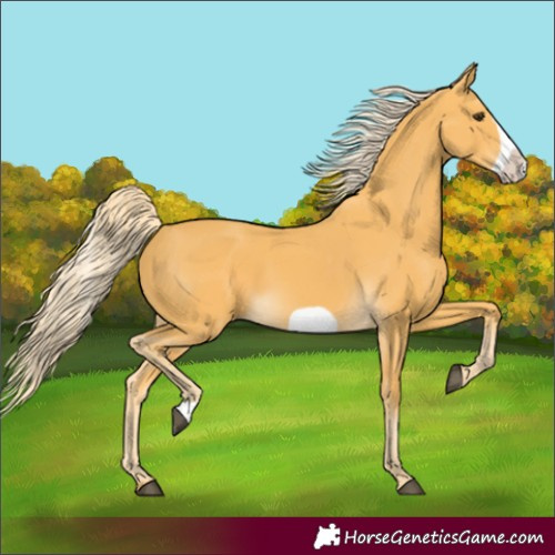 Horse Color:Palomino Frame 