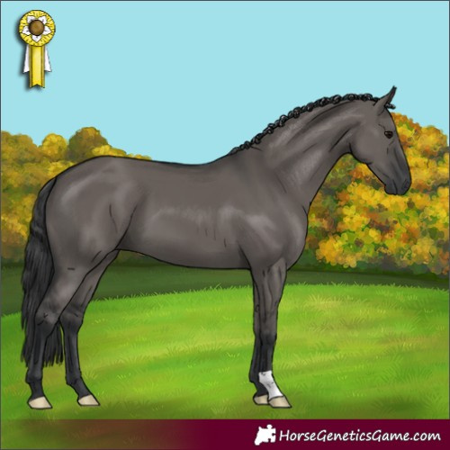 Horse Color:Grullo