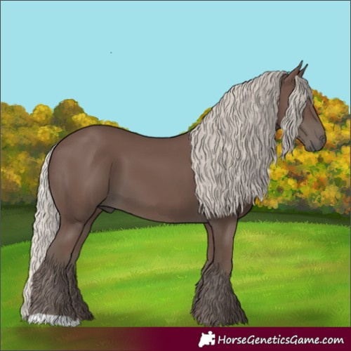 Horse Color:Silver Black 