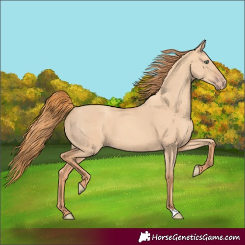 Horse Color:Gold Champagne Dun