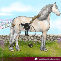 Horse Color:Silver Buckskin Pearl Sabino 