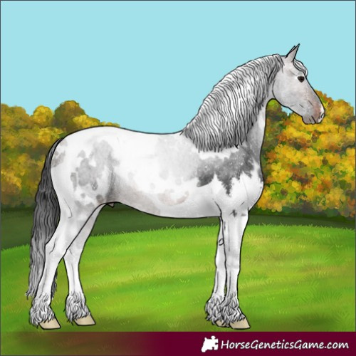 Horse Color:White Spotted Brown Tobiano Rabicano
