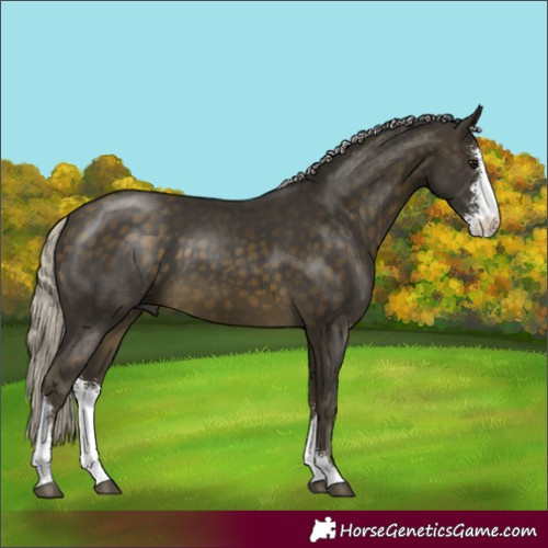 Horse Color:Silver Buckskin Sabino 