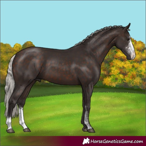 Horse Color:Silver Brown Sabino