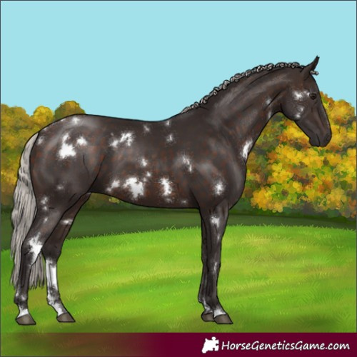 Horse Color:White Spotted Silver Brown 