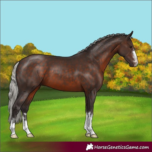 Horse Color:Silver Brown 