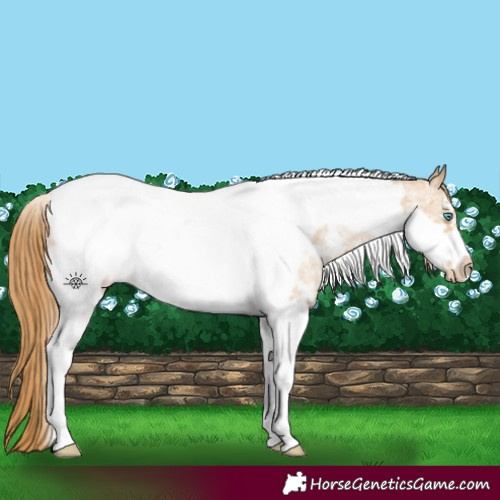 Horse Color:Smoky Black Pearl Sabino Tobiano Frame 