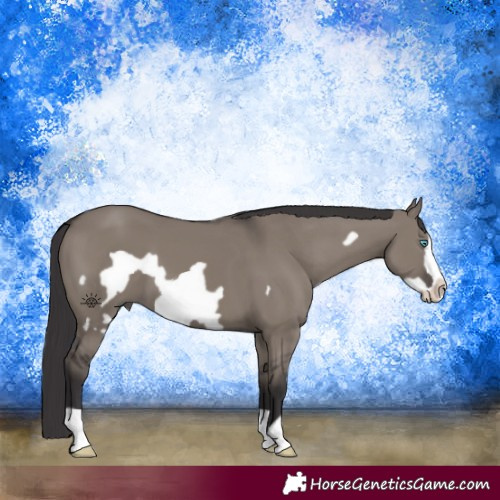 Horse Color:Smoky Grullo Frame