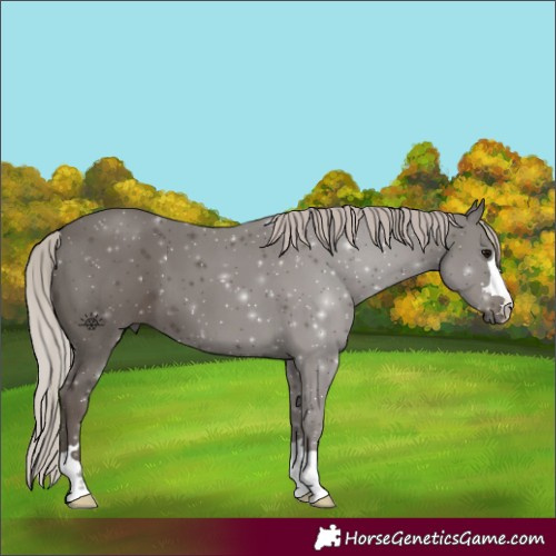 Horse Color:Silver Black 