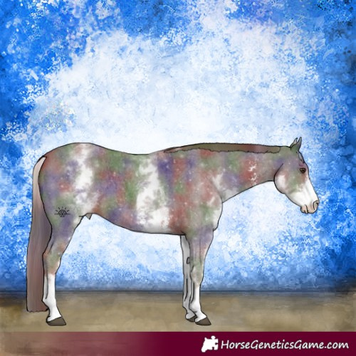 Horse Color:Nacre White Spotted Liver Chestnut Sabino Rabicano 