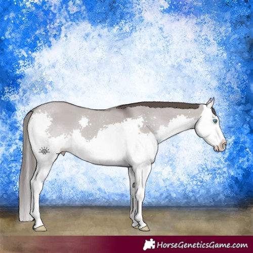 Horse Color:Platinum Liver Red Dun Splash 