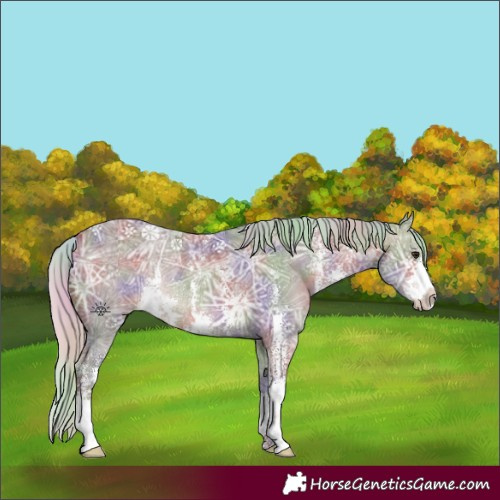 Horse Color:Platinum Nacre Silver Bay Ice Sabino 
