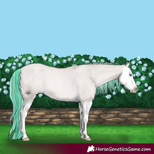 Horse Color:Platinum Painted Palomino Pearl Splash 