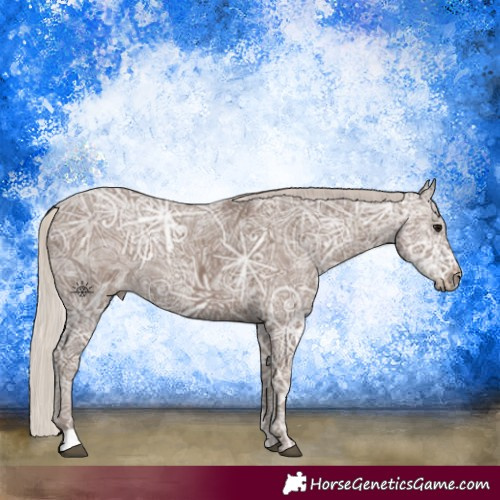 Horse Color:Silver Black Ice