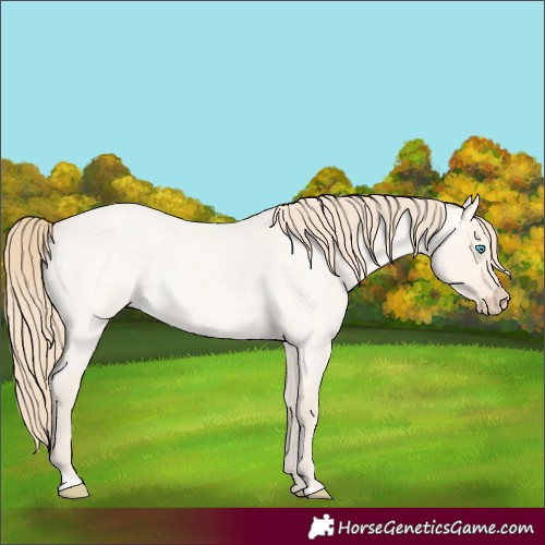 Horse Color:Perlino Roan Dun