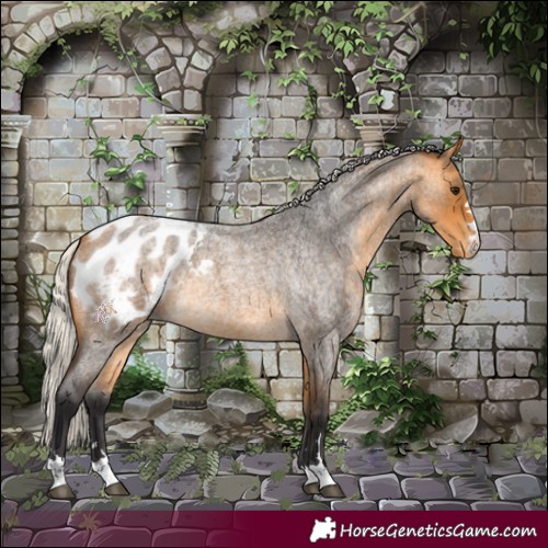 Horse Color:Silver Buckskin Roan Blanket Rabicano 