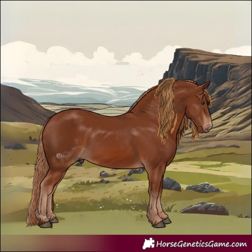 Horse Color:Chestnut 
