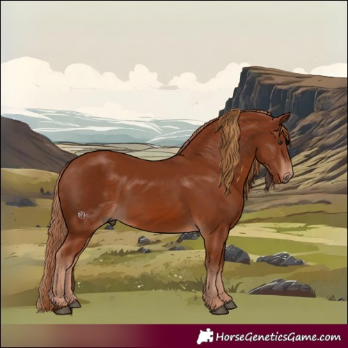Horse Color:Chestnut 