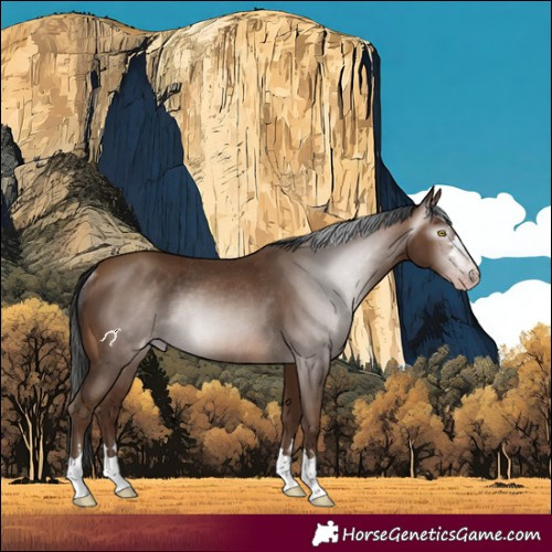 Horse Color:Gray Amber Champagne Rabicano 