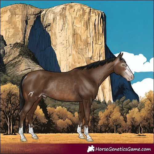 Horse Color:Gray Amber Champagne Rabicano 
