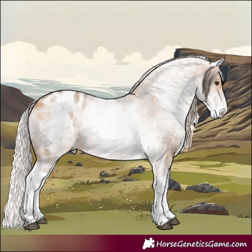 Horse Color:White Spotted Silver Brown Dun Varnish Rabicano 
