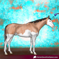 Horse Color:Bay Roan Splash