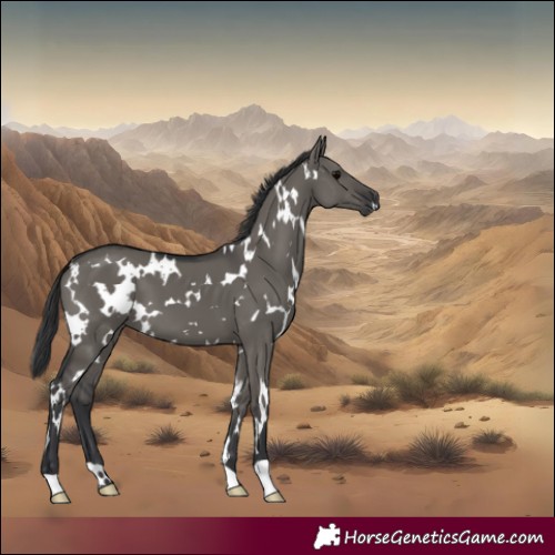 Horse Color:White Spotted Grullo
