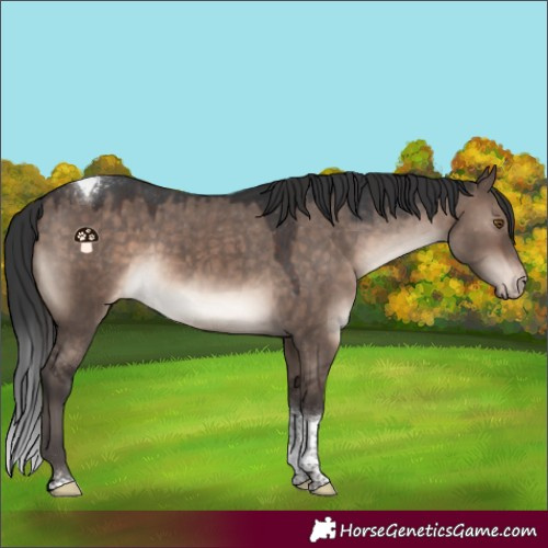 Horse Color:Brown Dun Mushroom Tobiano Varnish Rabicano 