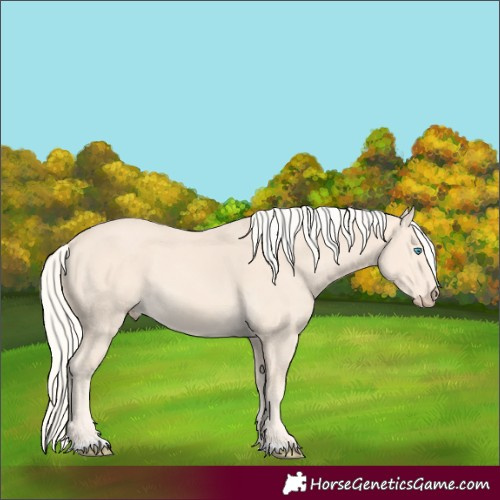 Horse Color:Cremello 