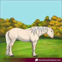 Horse Color:Palomino Dun 