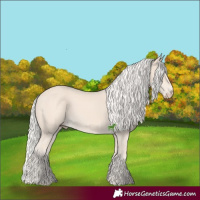 Horse Color:Cremello