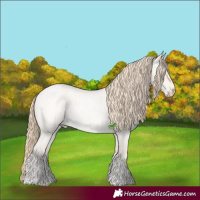 Horse Color:Perlino Roan Dun