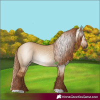 Horse Color:Gray Red Dun 